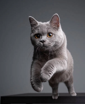 Уборка после квартирантов — 