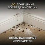 Уборка после дезинсекции в Астане миниатюра 1