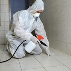 Уничтожение тараканов в Астане миниатюра 1