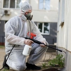 Уничтожение тараканов в Астане миниатюра 2