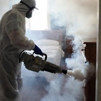 Уничтожение клопов в Астане миниатюра 1