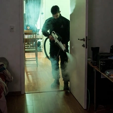 Уничтожение муравьёв в Астане