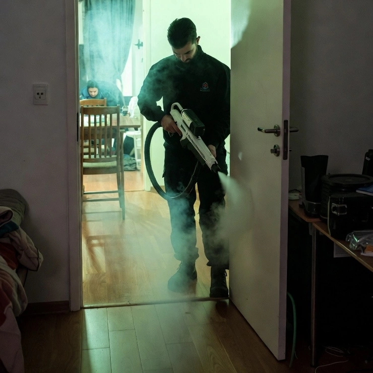 Уничтожение муравьёв