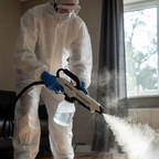 Уничтожение муравьёв в Астане миниатюра 2