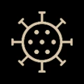 Перейти в раздел Дезинфекция